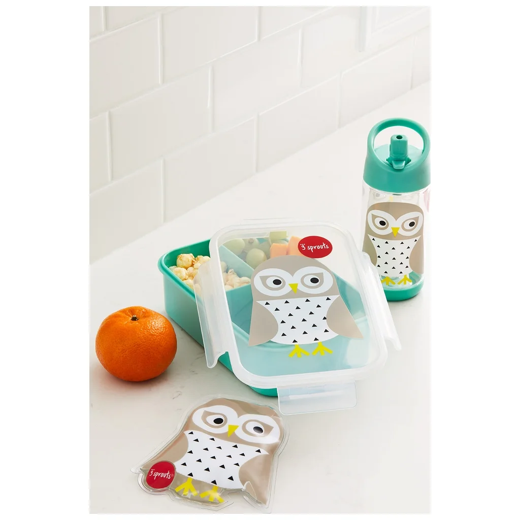 Lunchbox 3 Sprouts Bär