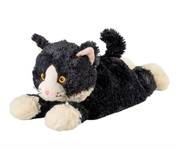 Windeltorte Wärme Katze