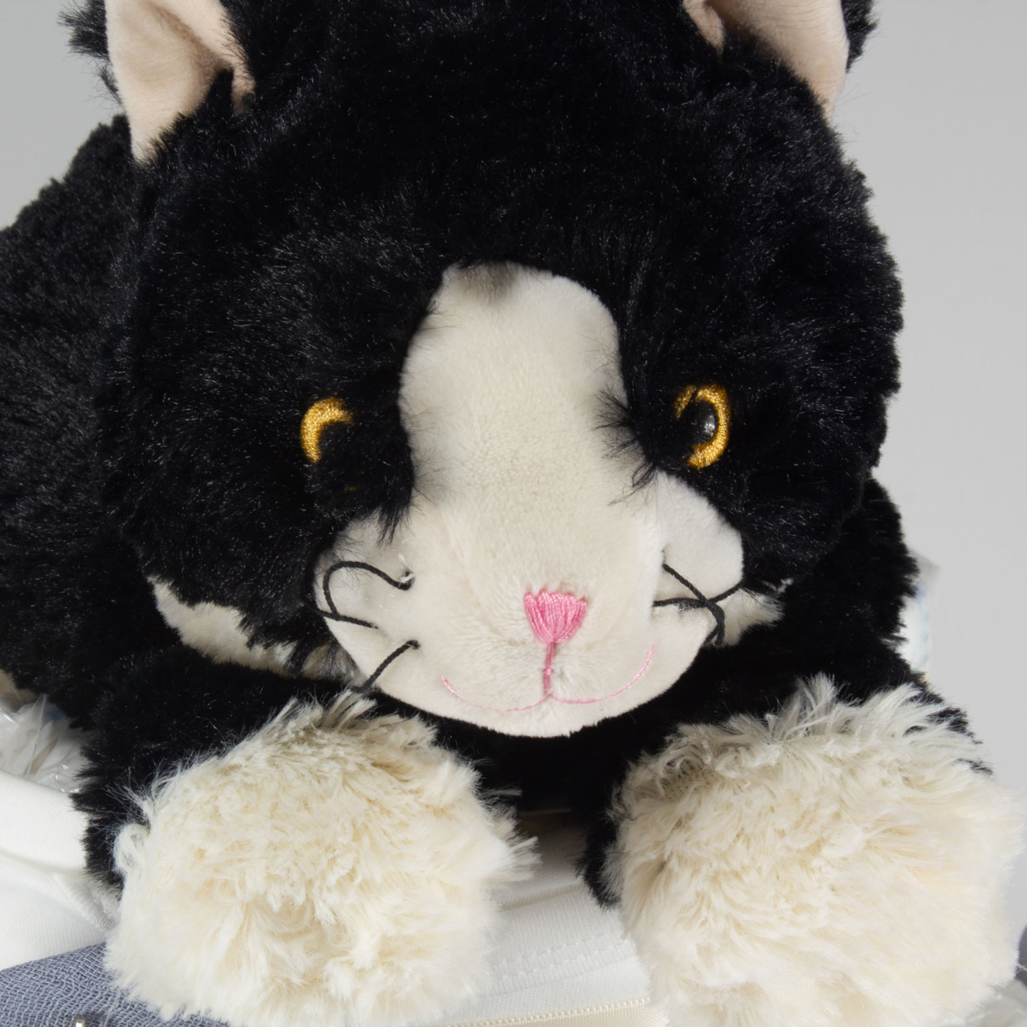 Windeltorte Wärme Katze